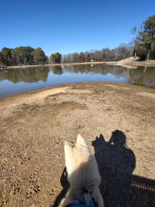 Olive Bark Dog Park 1