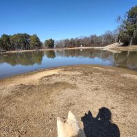 Olive Bark Dog Park ico
