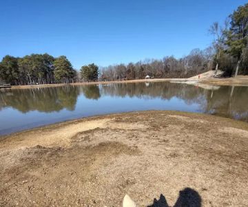 Olive Bark Dog Park