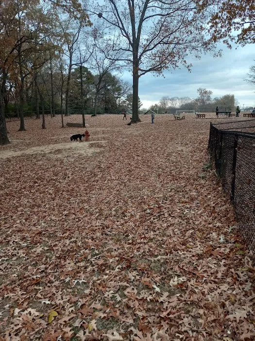Suggs Dog Park 5