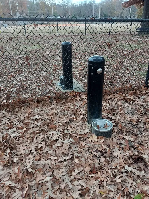 Suggs Dog Park 4