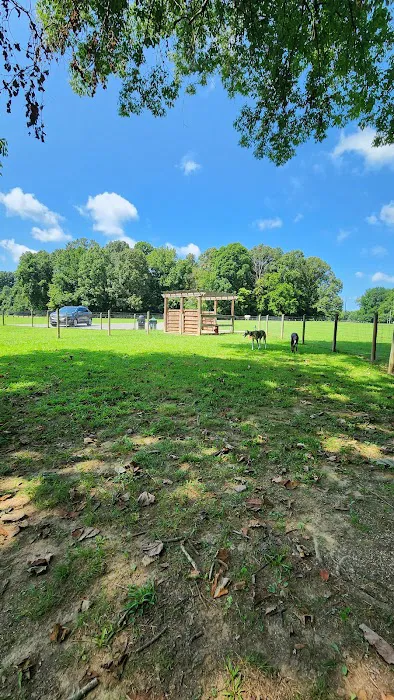 Emily’s Bark Park 3