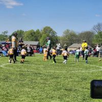 Emily’s Bark Park ico