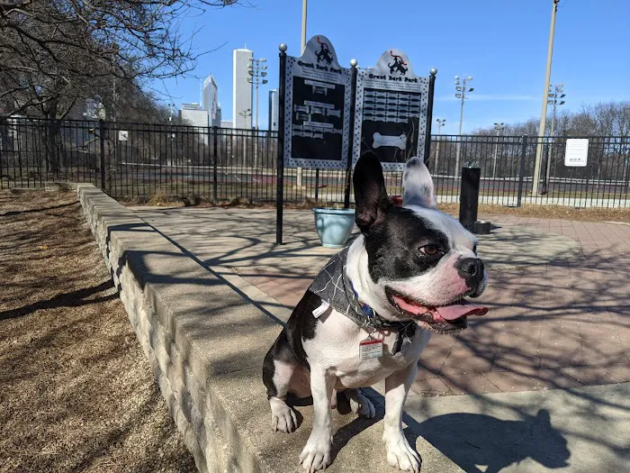 Grant Bark Park 5