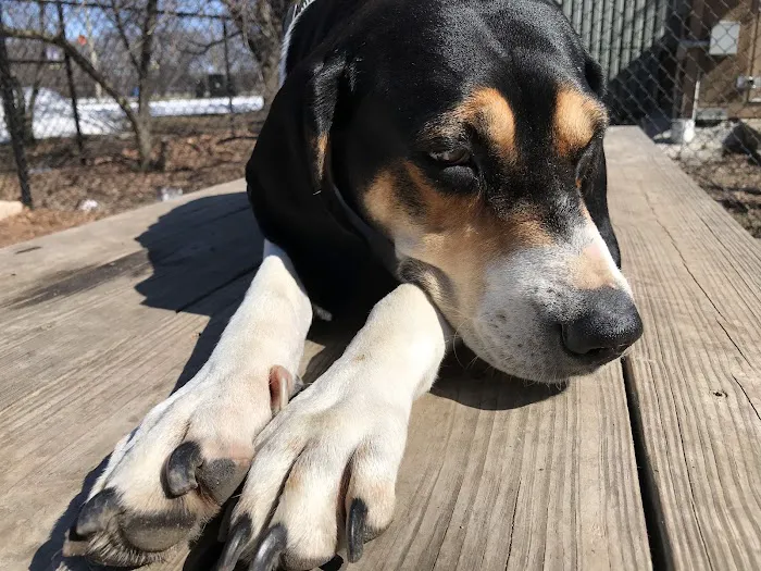Grant Bark Park 3