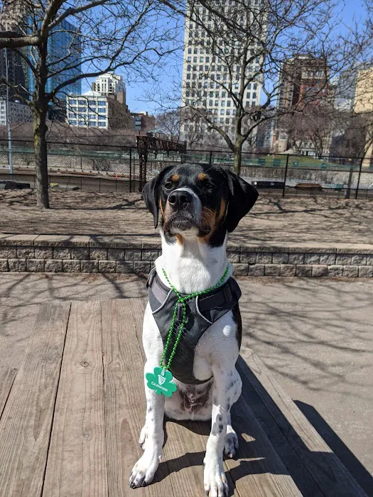 Grant Bark Park 8
