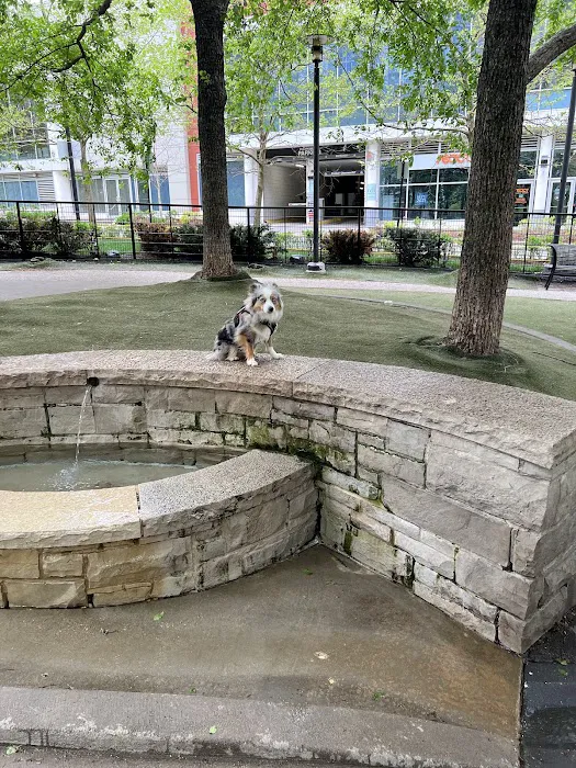 Lakeshore East Dog Park 4