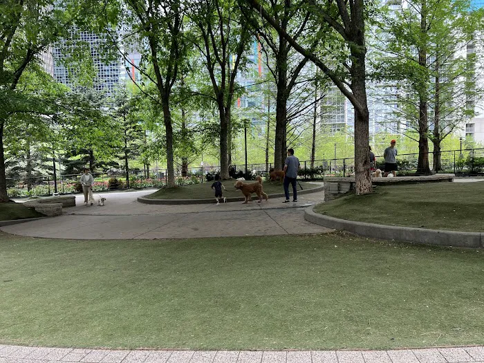 Lakeshore East Dog Park 6