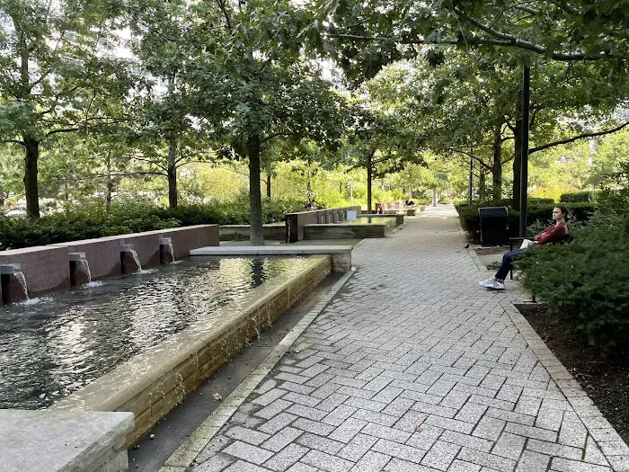 Lakeshore East Dog Park 8