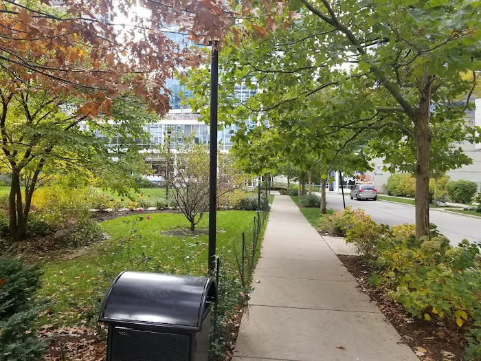 Lakeshore East Dog Park 2