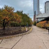 Ohio Place Dog Park ico