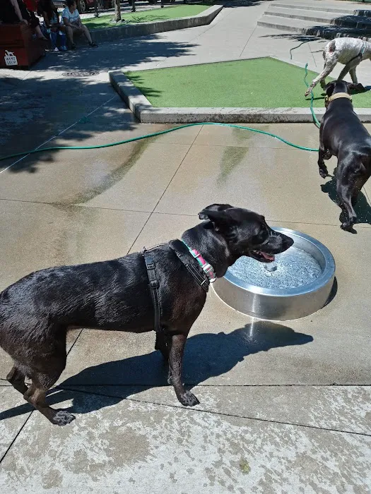 Bartelme Dog Friendly Area 8