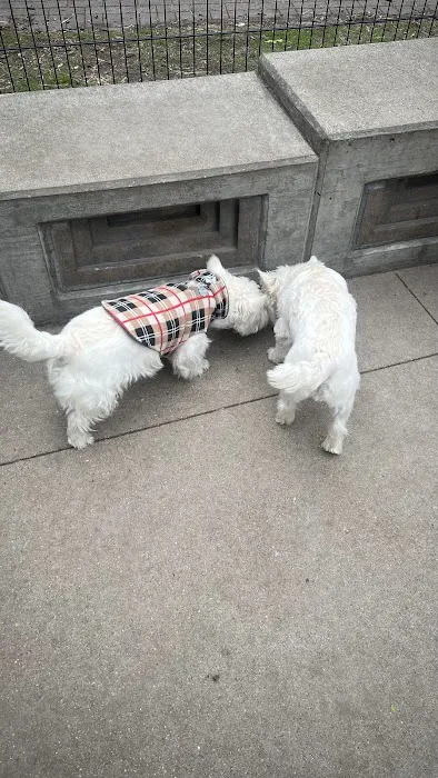 Bartelme Dog Friendly Area 2