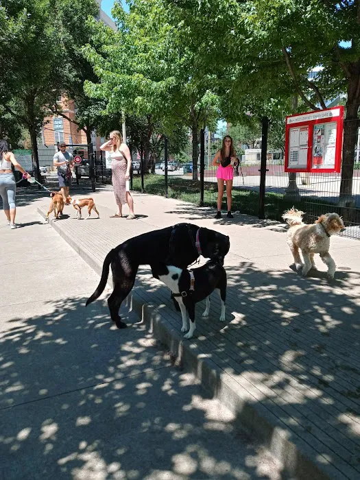 Bartelme Dog Friendly Area 7
