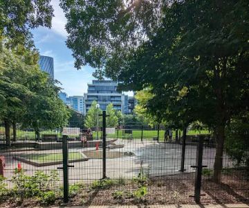 Bartelme Dog Friendly Area