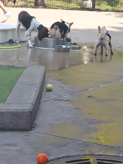 Bartelme Dog Friendly Area 6
