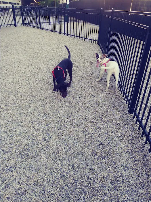 K2 Apartments Dog Park 1