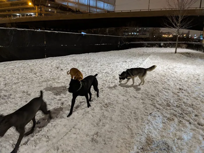K2 Apartments Dog Park 7