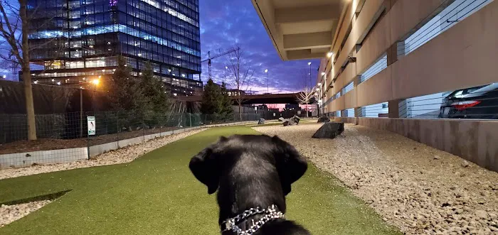 K2 Apartments Dog Park 3