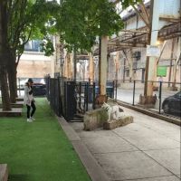 Coliseum Park Dog Friendly Area ico