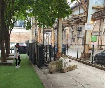 Coliseum Park Dog Friendly Area