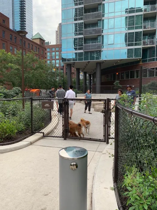 Dog park 7