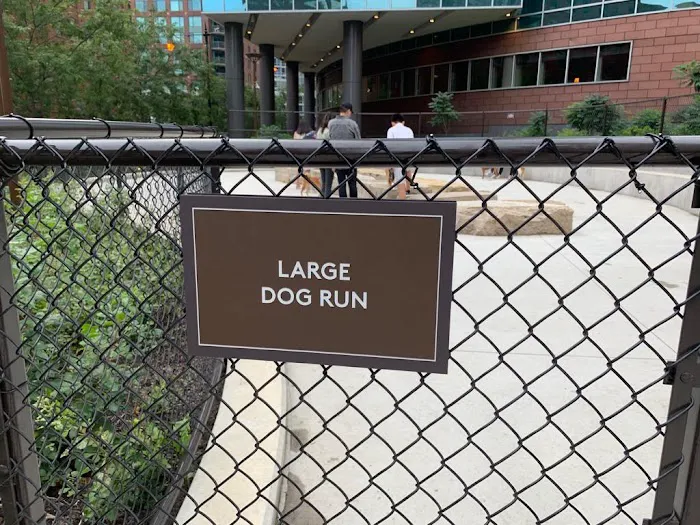 Dog park 4