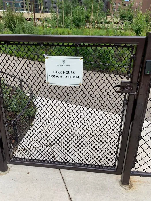 Dog park 5