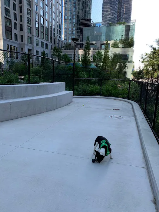Dog park 10