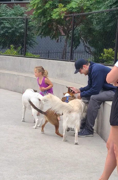 Dog park 1