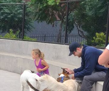 Dog park