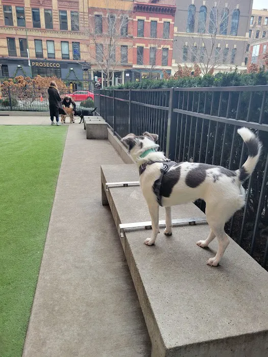 Exhibit Dog Park 4