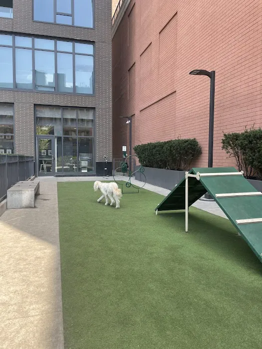 Exhibit Dog Park 7