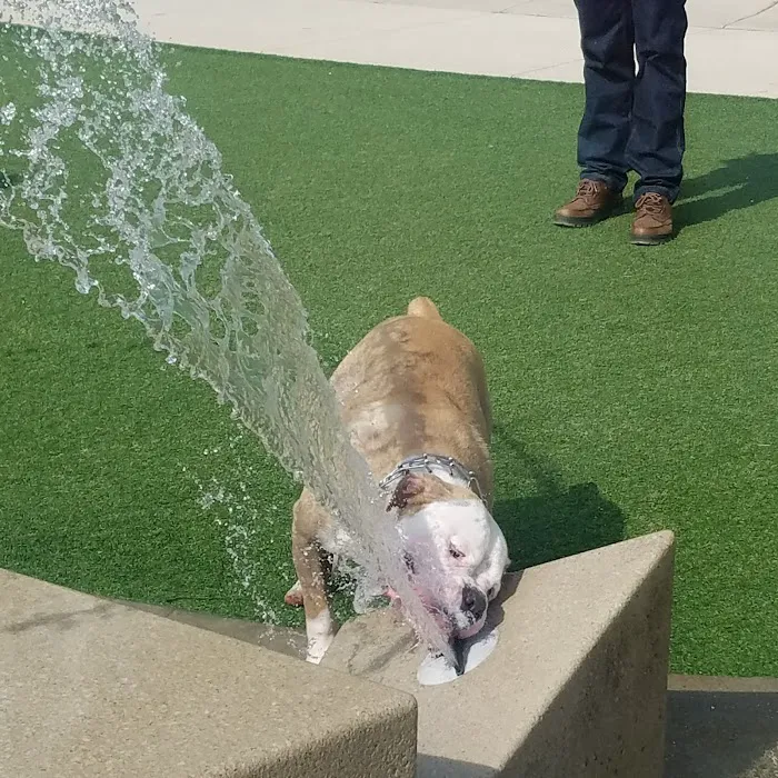 Fred Anderson Dog Park 3