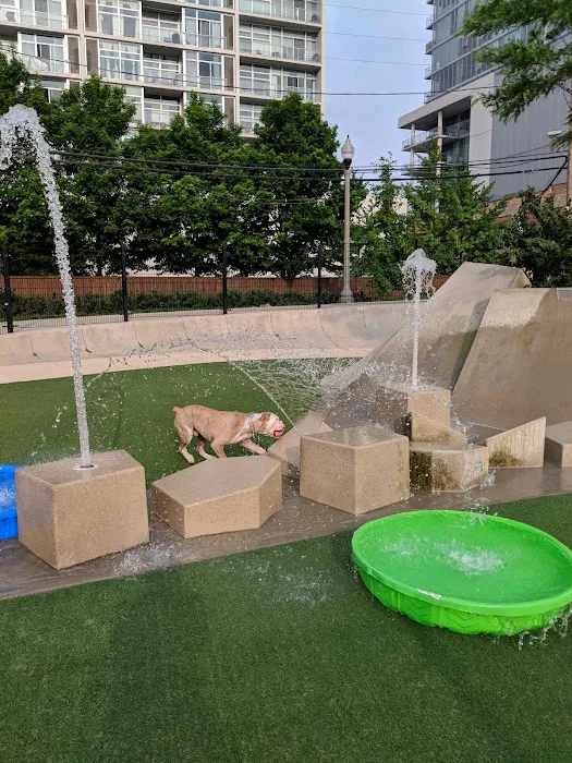 Fred Anderson Dog Park 2