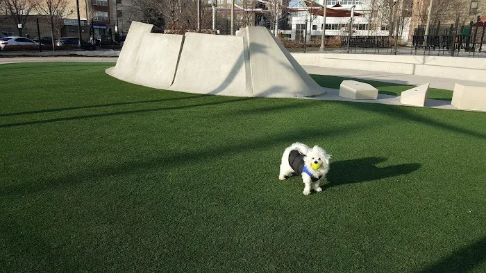 Fred Anderson Dog Park 6