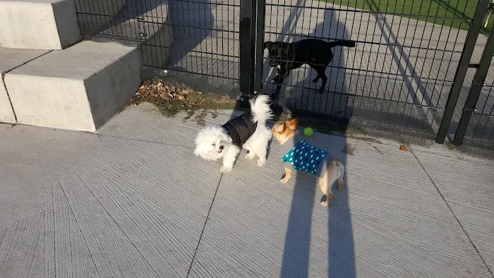 Fred Anderson Dog Park 10
