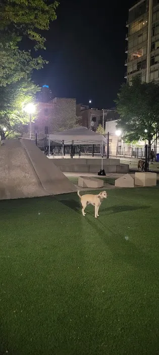 Fred Anderson Dog Friendly Area 2