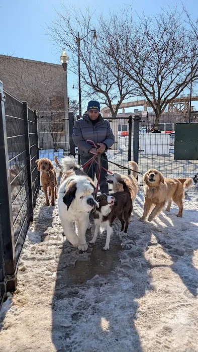 Fred Anderson Dog Friendly Area 8