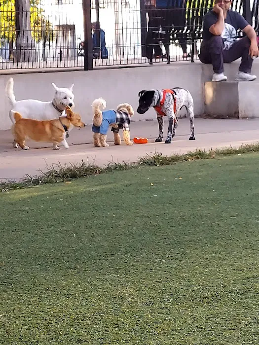 Fred Anderson Dog Friendly Area 3