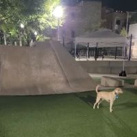 Fred Anderson Dog Friendly Area ico
