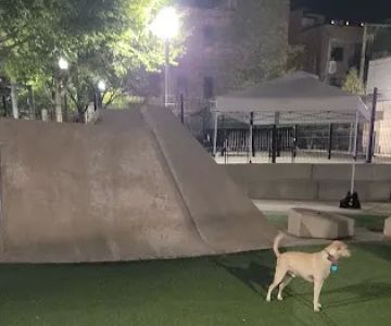 Fred Anderson Dog Friendly Area