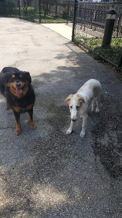 University Village Dog Park 7