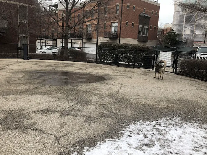 University Village Dog Park 9