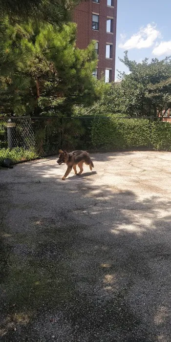 University Village Dog Park 10