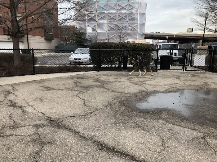 University Village Dog Park 8
