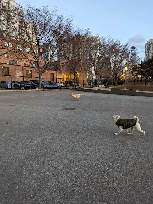 Larrabee Dog Park 1