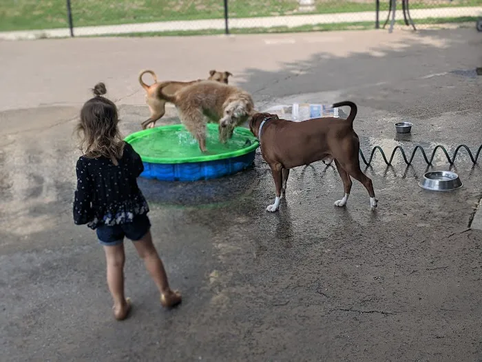 Larrabee Dog Park 3