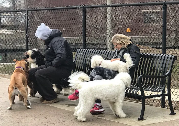Larrabee Dog Park 8
