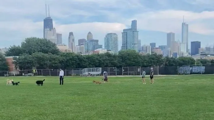 Larrabee Dog Park 5